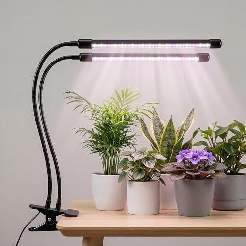 LED Grow Lights
