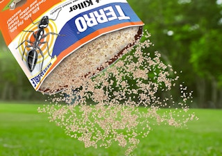 Ant killer seeds falling out of a bag