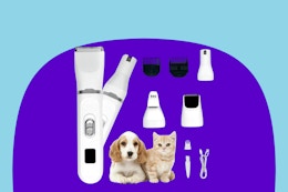 4-in-1 Pet Grooming Kit, $11.54 on Amazon card image