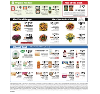 Ad Scan Image