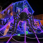 LED Halloween Spider Web w/ Spider