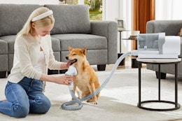 Dog-Grooming Kit Slashed From $100 to Just $47 on Walmart.com card image