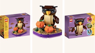 lego halloween owl kit