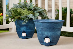 QVC Bernini Self-Watering Planters, 2 ct