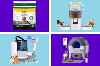 amazon pet deals