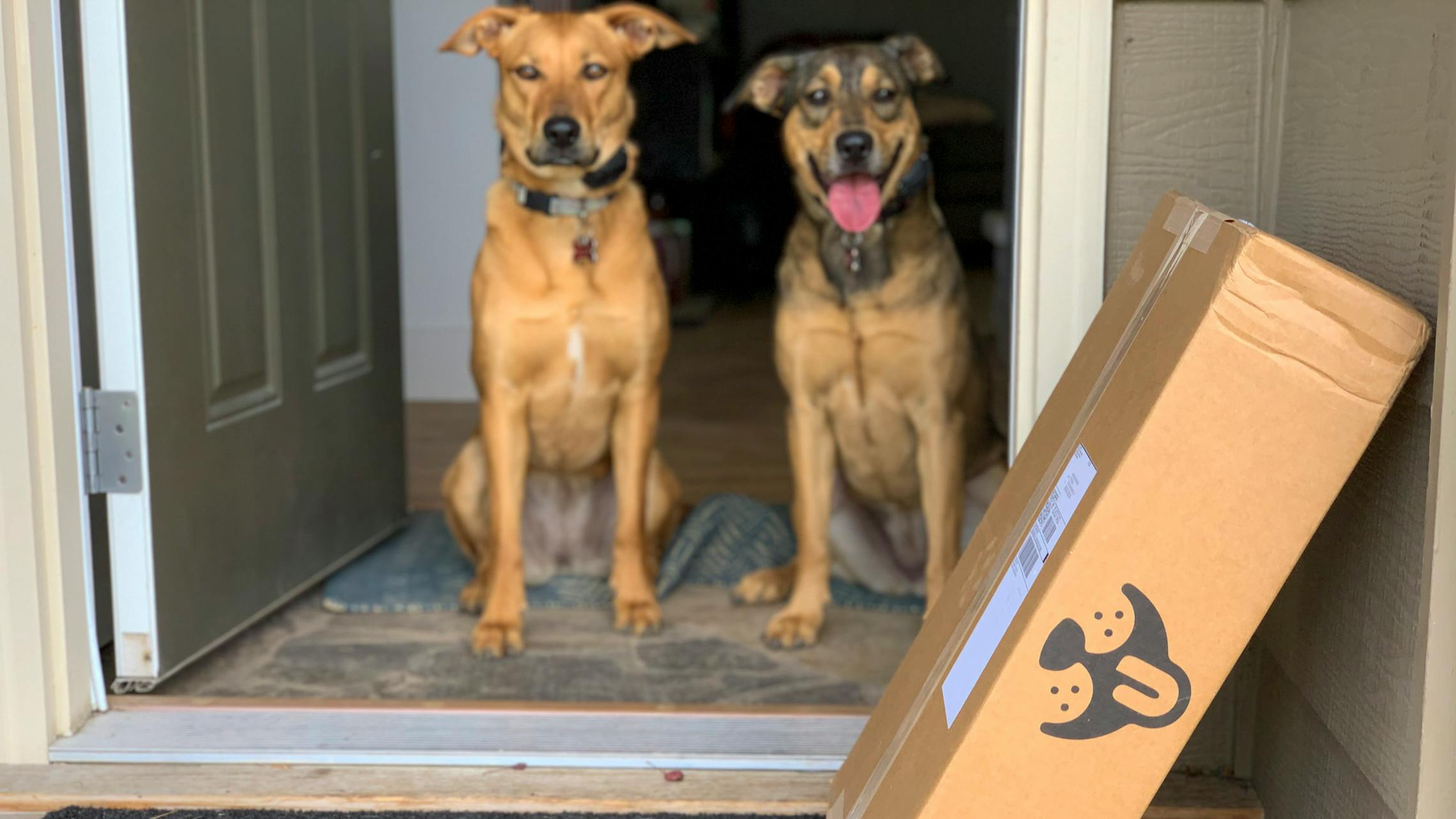 Pet Store Delivery Deals The Krazy Coupon Lady