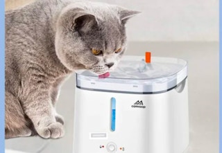 rack to door automatic waterer