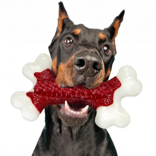 Dog Chew Toy