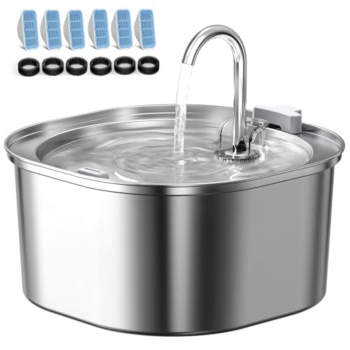 Cat Water Fountain