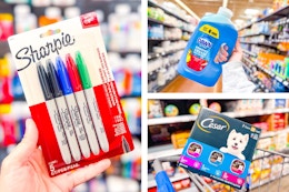 Sharpie markers, Dawn soap & Cesar dog food