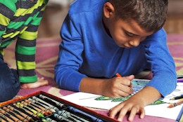 amazon-crayola-inspiration-art-case