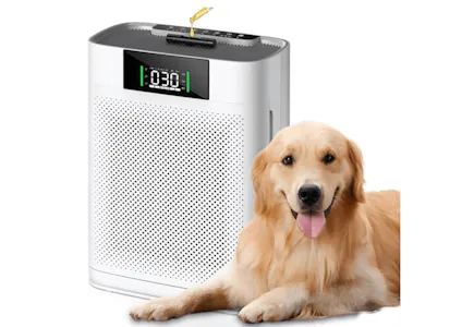 Air Purifier for Large Room