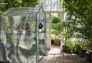 woot greenhouse