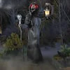 Animated LED Raven