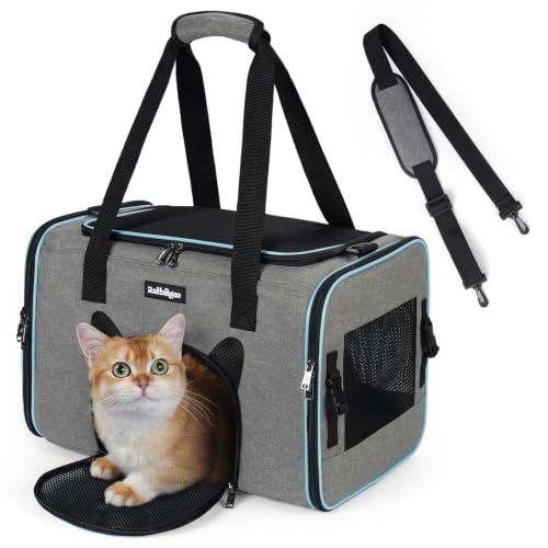 Cat Carrier