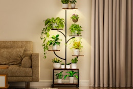 7-Tier Plant Stand With Grow Lights, Only $41.99 on Amazon (Reg. $106) card image