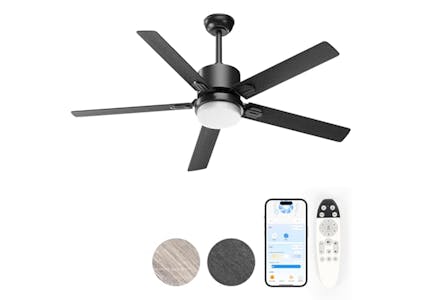 Ceiling Fan With Light