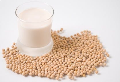 Milking It: Save Over $200 a Year by Making Your Own Soymilk!