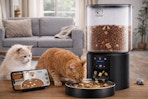 amazon cat feeder