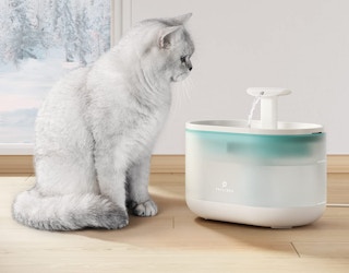 amazon petlibro water fountain 1683032590 1683032590 e1683032608462