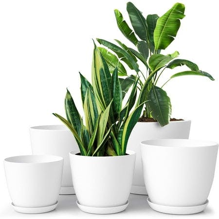 Plant Pot Set