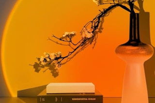 a sunset light over a vase with flowers and two books