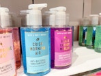 hand sanitizer at bath and body works
