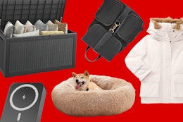 Deals 50% off or more at Walmart: Apparel, dog bed, storage and charger