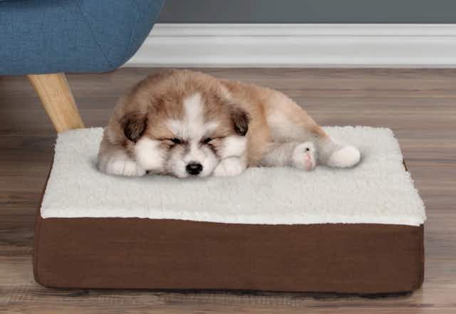 Orthopedic Memory Foam Dog Bed, Just $12 at Walmart card image