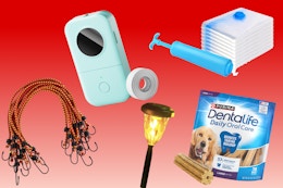 Amazon Deals Under $10: Electric Flosser, Solar Lights, Label Maker card image