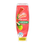 2 Gain Dish Soaps