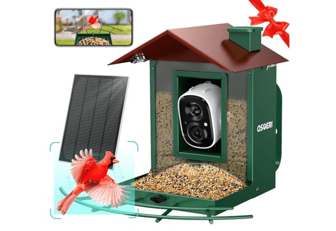 Camera Bird Feeder