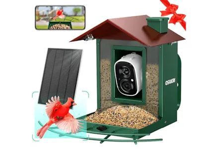 Camera Bird Feeder