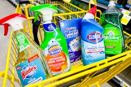 mr. clean, clorox, palmolive, scrubbing bubbles, windex in a yellow dollar general shopping cart