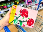 hand holding a Lego roses building set