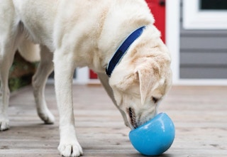 amazon-interactive-treat-toy-2024-1