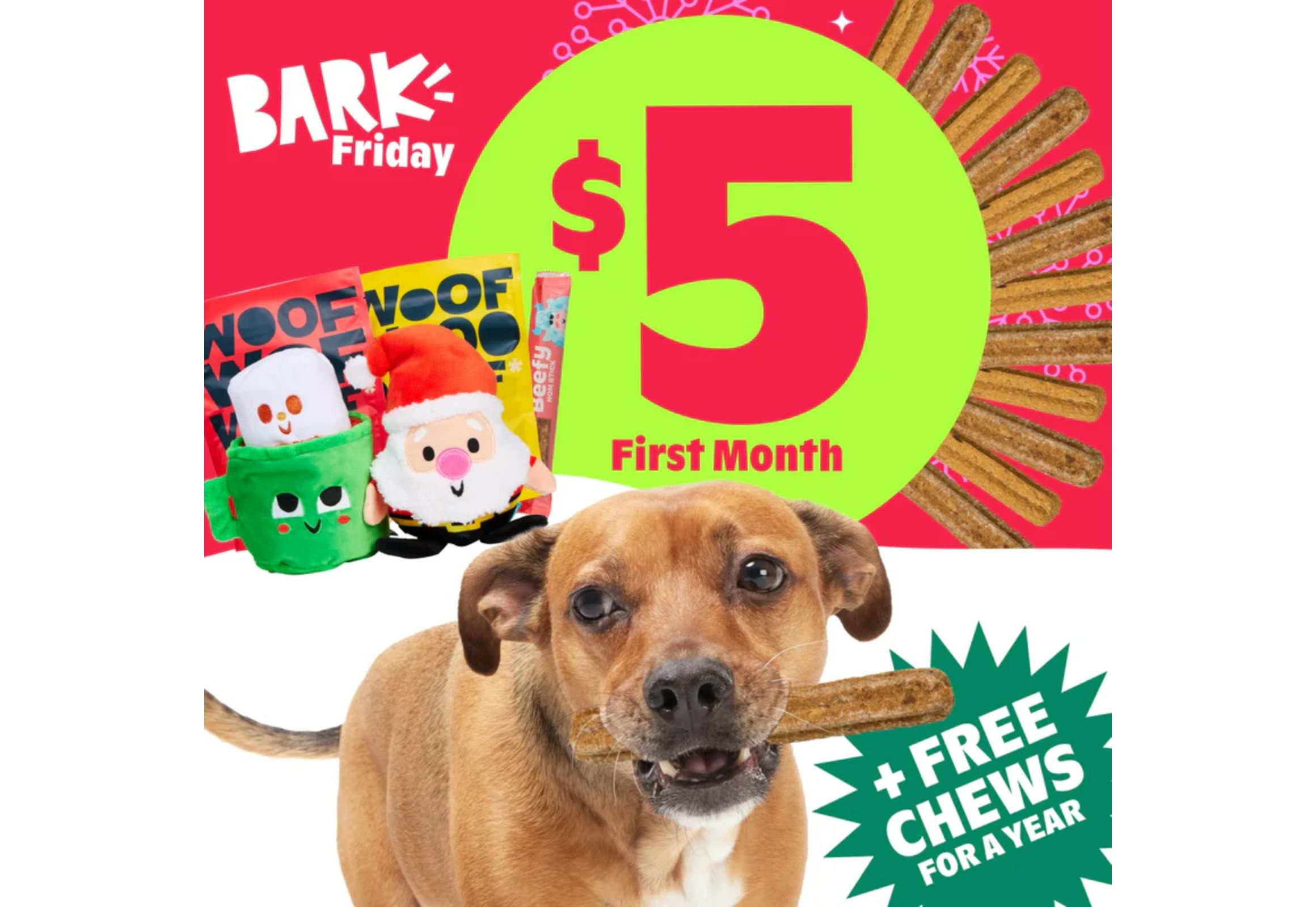 BarkBox Subscription - 1st Box