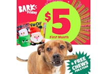 BarkBox Subscription - 1st Box