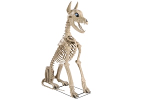 Skelly's Sitting Dog