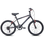 20" Kobra Bicycle