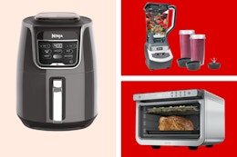 Amazon Prime Day Ninja Deals: Starting at $89.99 (Lowest Prices This Year) card image