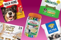 Pet care items collage