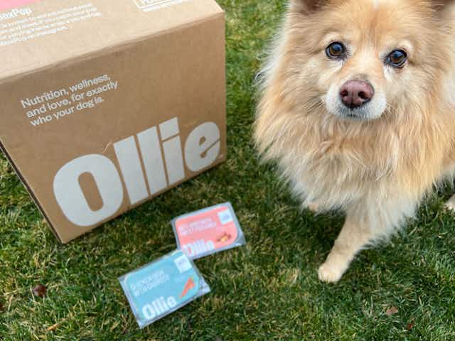 Ollie Fresh Dog Food 2-Week Supply + Free Bowl, as Low as $18 Shipped card image