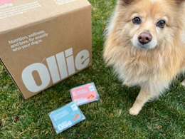 Ollie’s Starter Box Is 70% Off — Fresh Dog Food From $25 Shipped