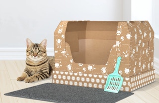 kitty poo club 051722 d 1652817702 1652817702