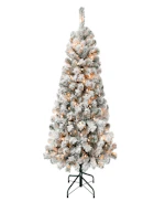 National Tree Company Acacia Tree