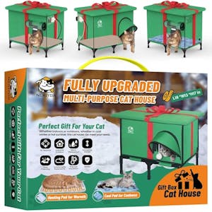 Outdoor Heated Cat House