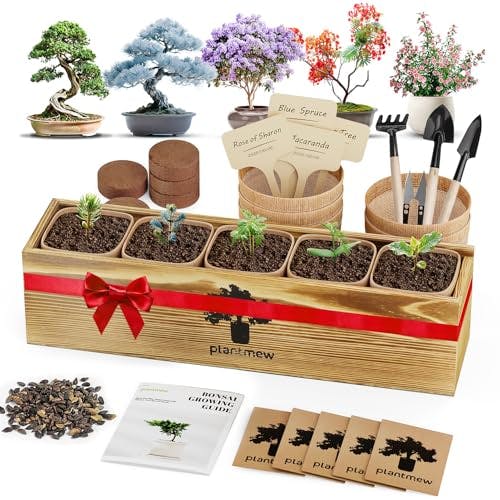 Bonsai Tree Starter Kit