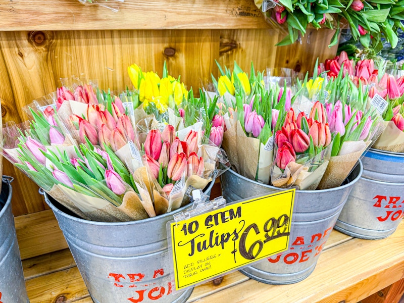 trader-joes-flowers-14