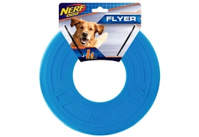 Nerf Flyer Dog Toy
